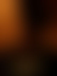 Exhibitor Notes & Boxoffice Estimate - INDIANA JONES: DIAL OF DESTINY (PG13)