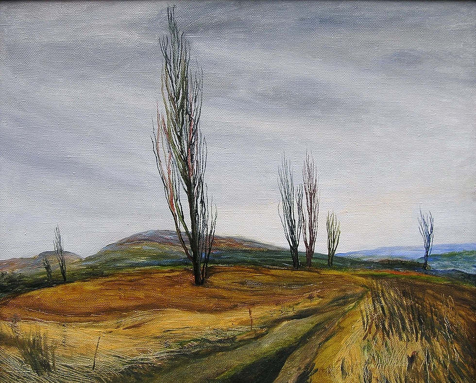 Poplar