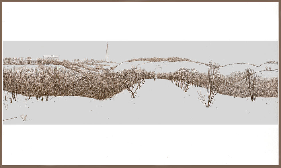 Panorama1
