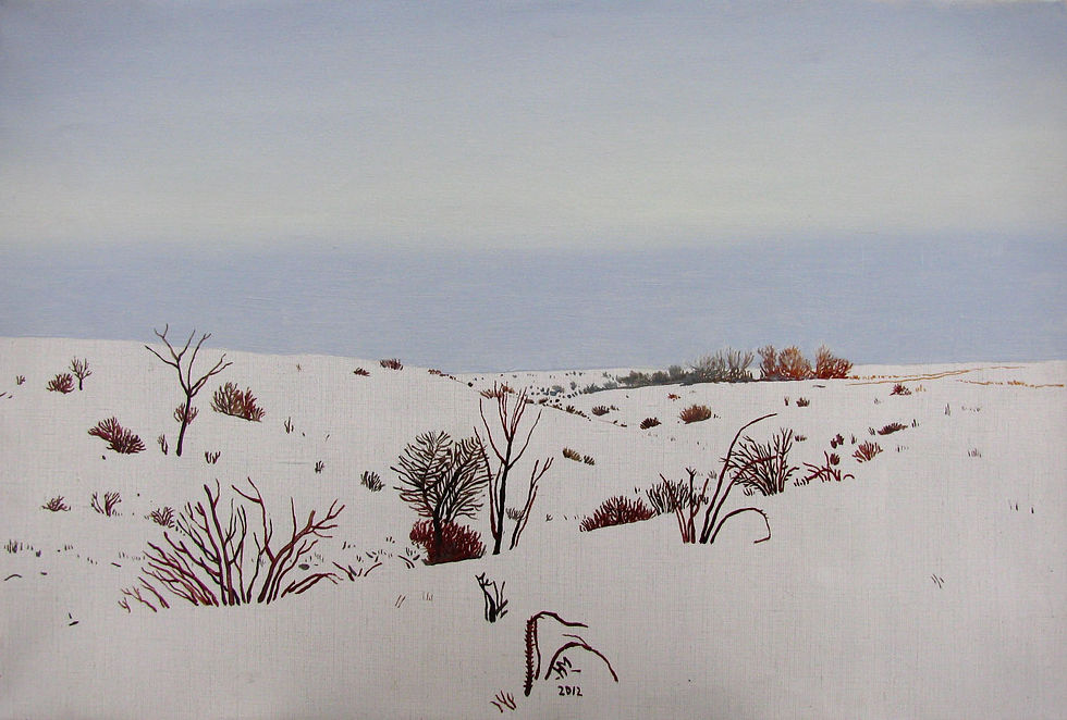 Winter steppe