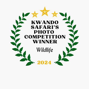 Kwando Safari’s.png