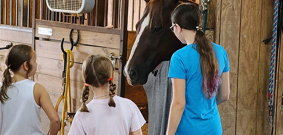 Chip loves visiting with friends at his stall door.