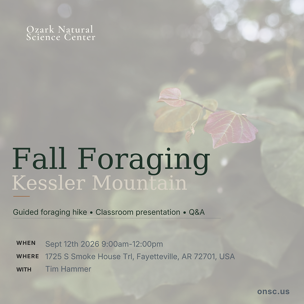 From Forest to Table: Fall Foraging Basics