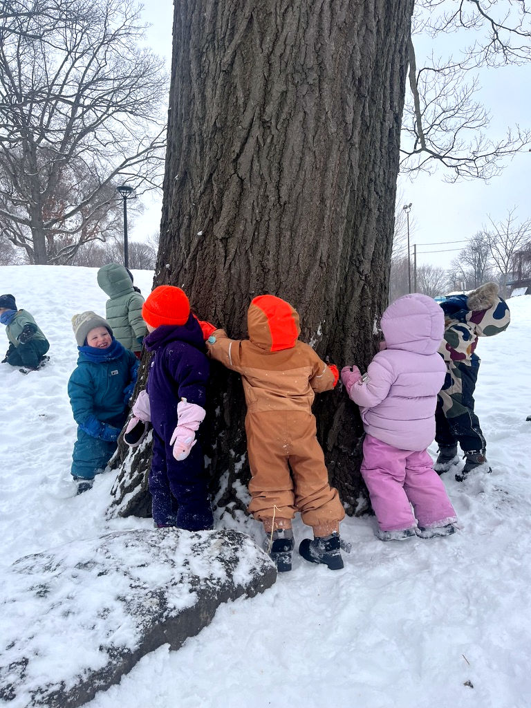 Holding hands around a tree