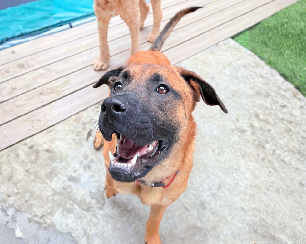 Screenshot 2026-01-13 at 9.57.30 PM.png