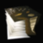 Fractal Explorations