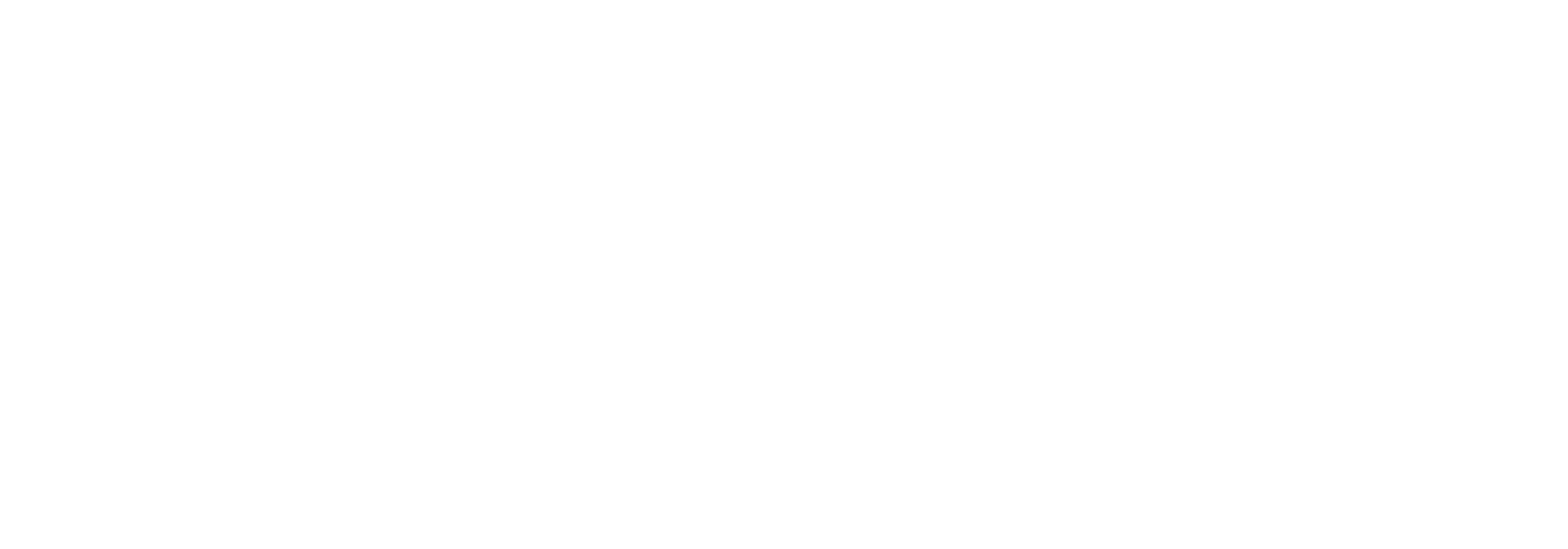 Logo PBP white