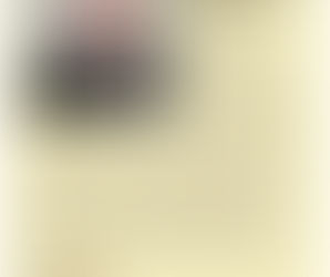 I recently purchased…