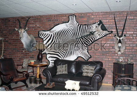 stock-photo-the-entertainment-area-of-farmhouse-in-south-africa-with-various-stu