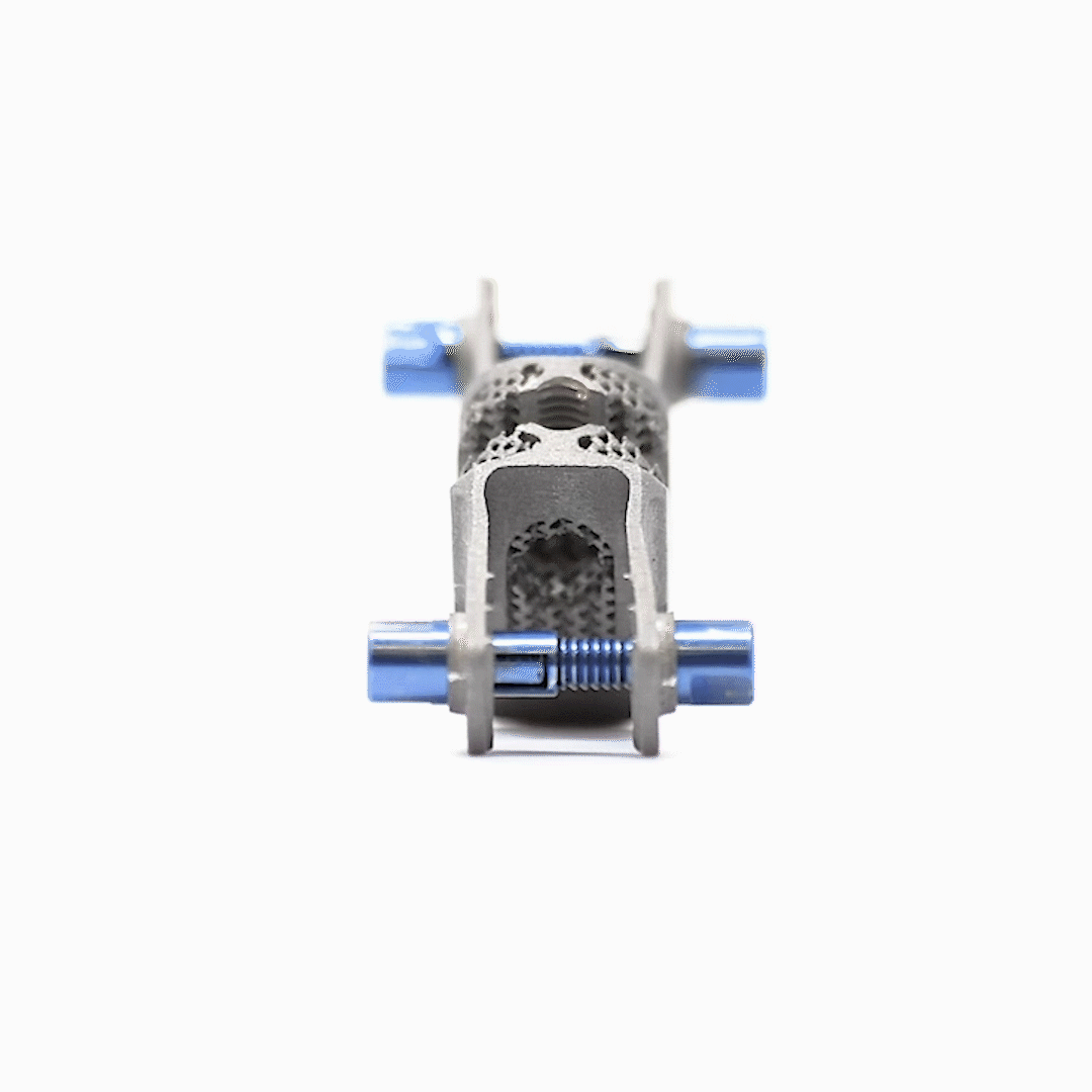 Evo gif.gif