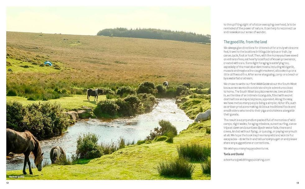 Thumbnail: Wild Guide South West  England  (second edition) Book