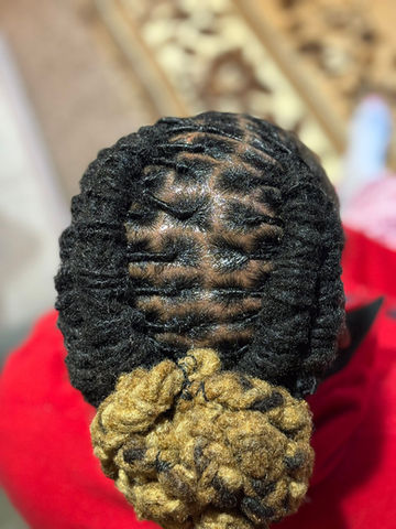 Dreadlocks with Color Accents