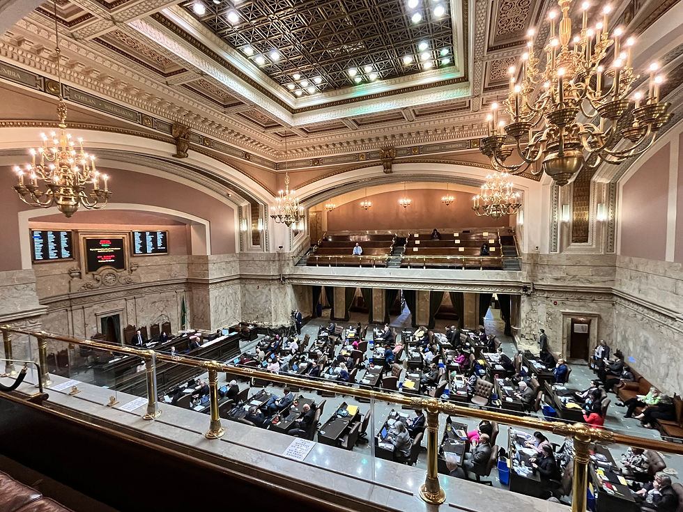 Democracy In Action.