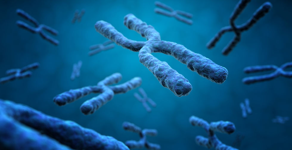 3d-illustration-of-x-chromosomes-2024-09-22-09-33-56-utc (1).jpg