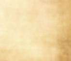 Brown Minimalist Business Newsletter (1)_edited.jpg