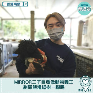 【香港娛樂】MIRROR三子自發做動物義工　剷屎餵糧鋸樹一腳踢