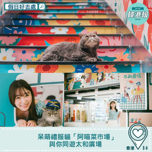 【#假日好去處】呆萌禮服貓「阿喵菜市場」與你同遊太和廣場
