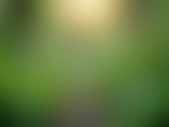 The Importance of Sustainable Living in Today's World