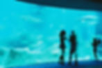113610003770-R3-071-34