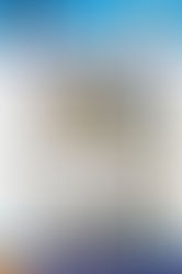 Atenção Bancários: Já saiu a primeira edição do mês de Dezembro do Jornal O Brado da SEEB de Juazeir