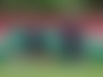 Vai poupar? Fluminense deve ter mudanças importantes contra o Mirassol