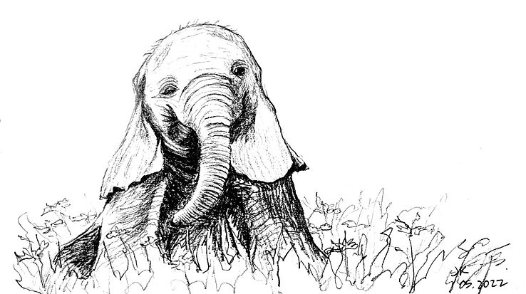 WhatsApp Image 2022-06-07 at 3.42_edited.jpg