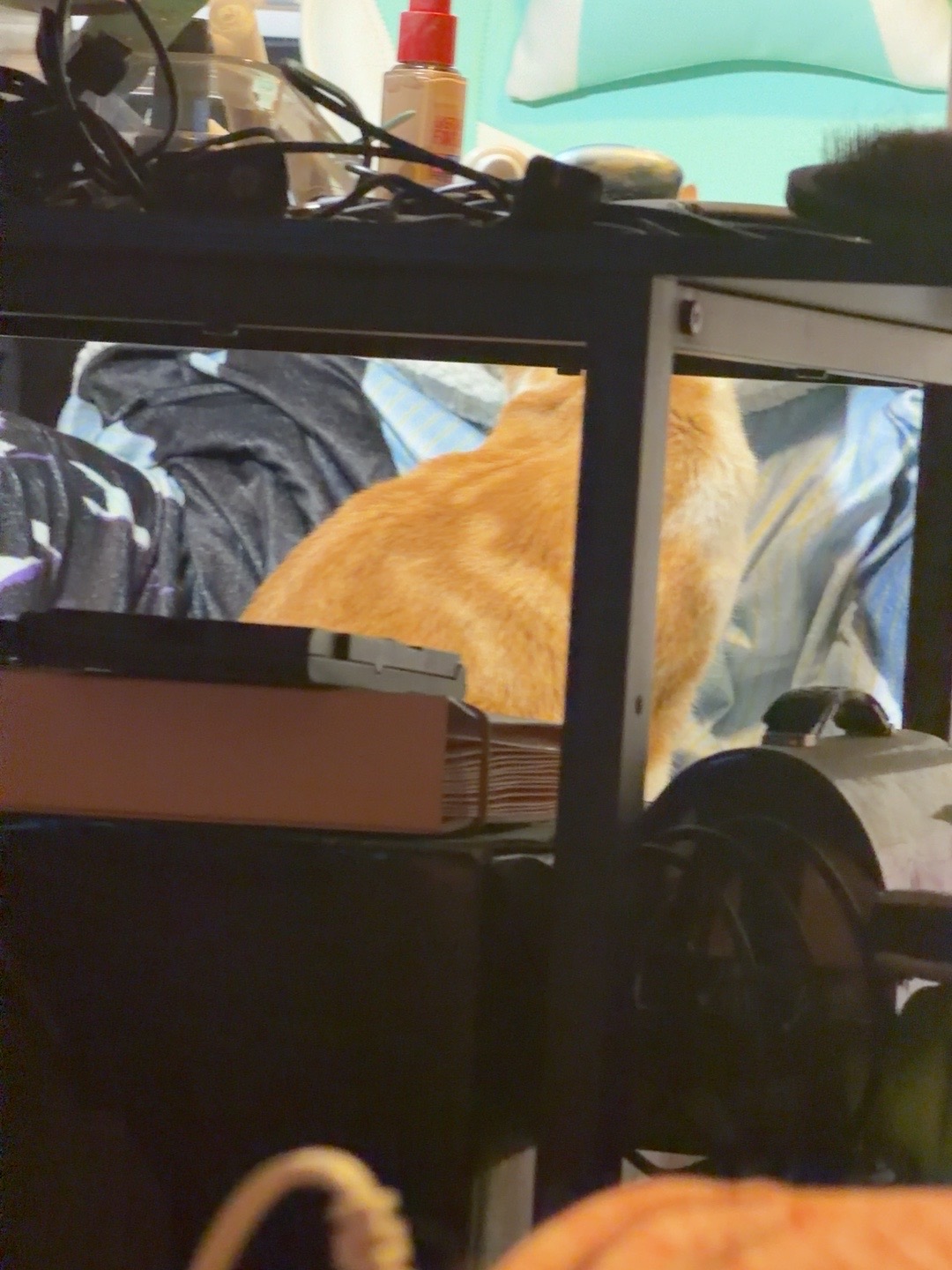 Carlos inspecting the royal computer chair while Ruby is away