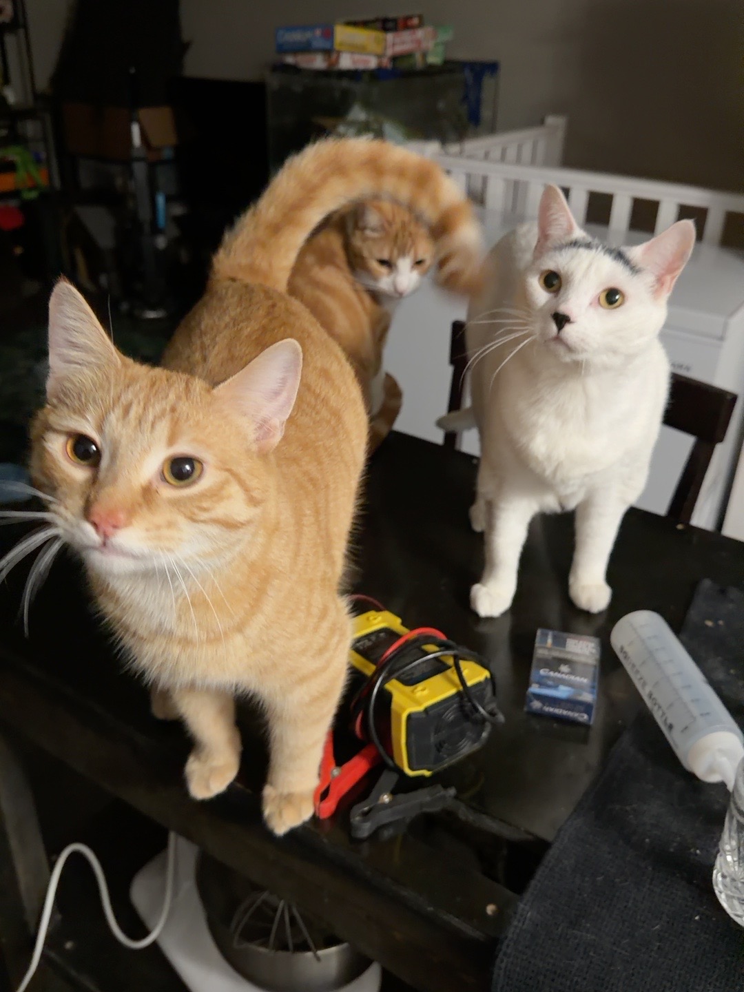 Eddie, Carlos and Ruby gathered together awaiting snacks