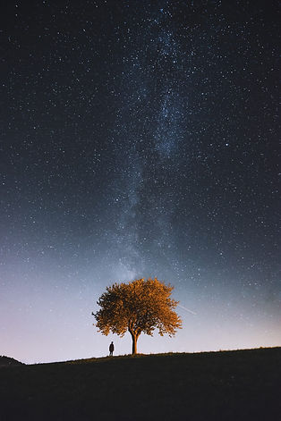 Alessio-Lin-Where-The-Real-World-Ends-16