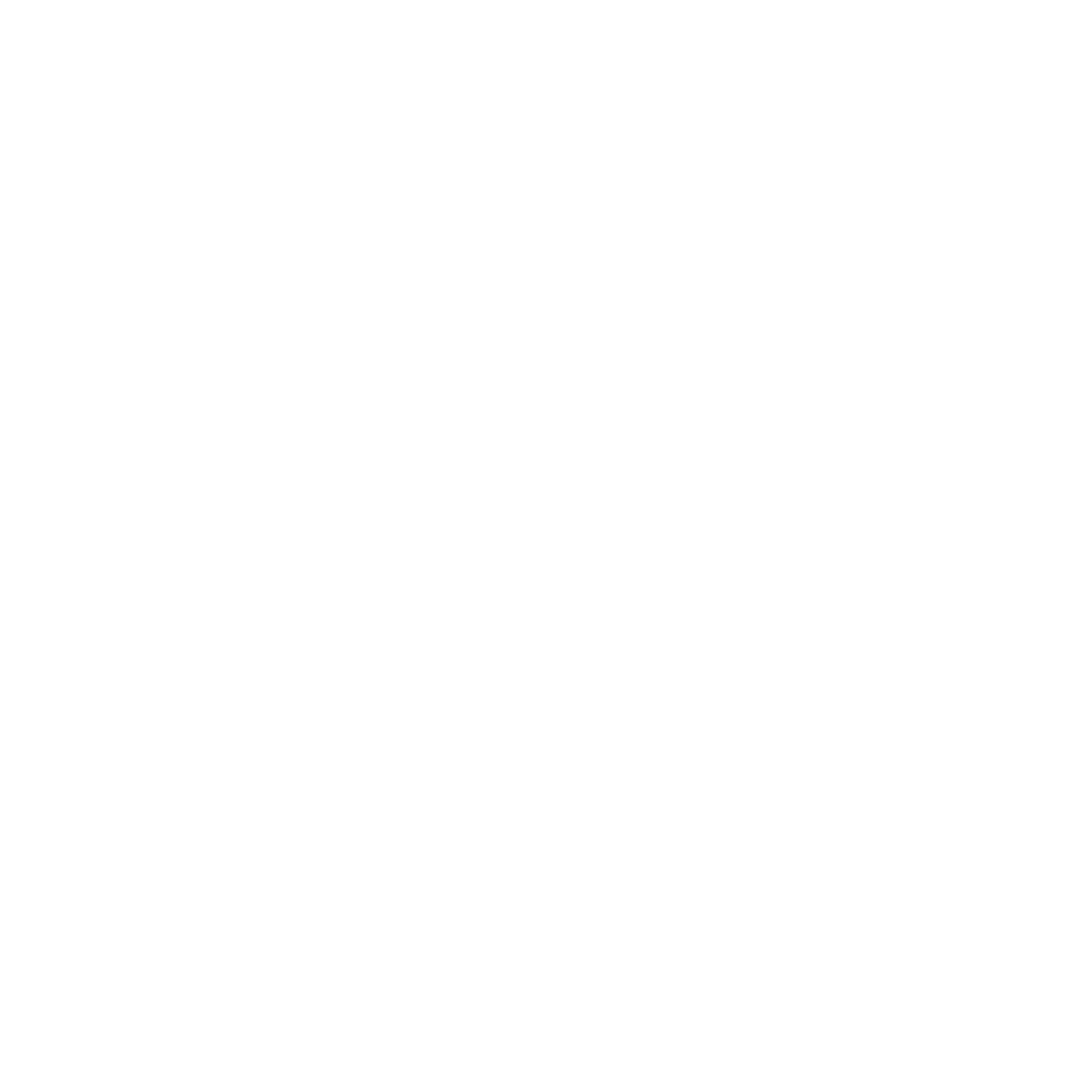 White YouTube play button icon.