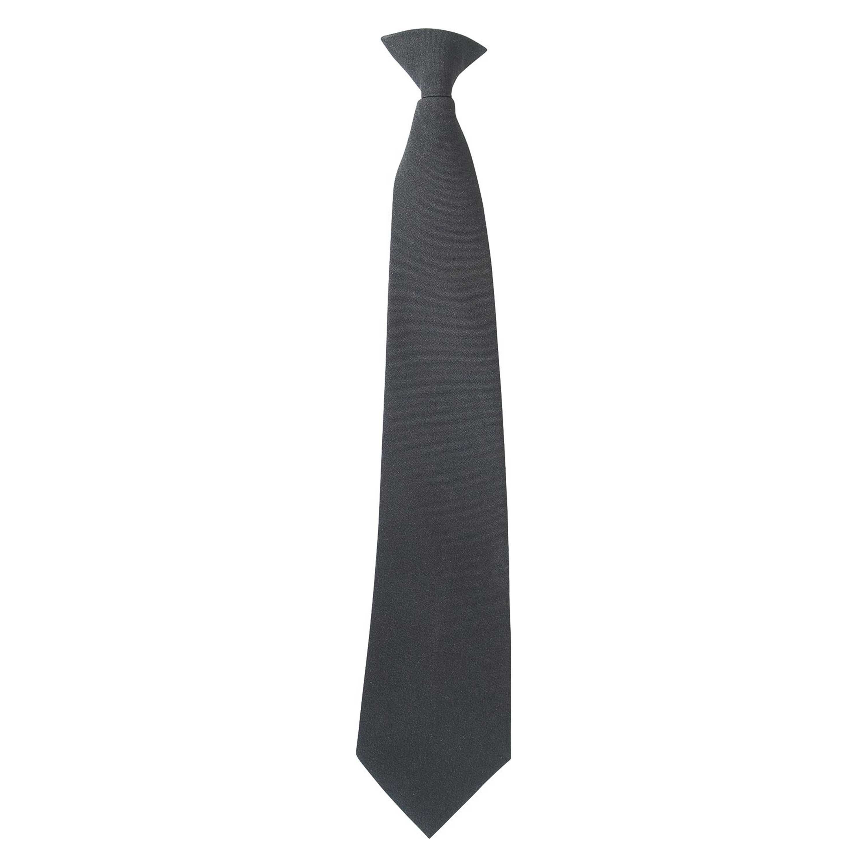 Security Clip-On Tie