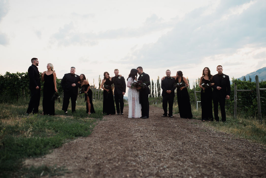 Bride, groom and wedding party in the vineyard at Monte Creek Winery in Kamoops, BC