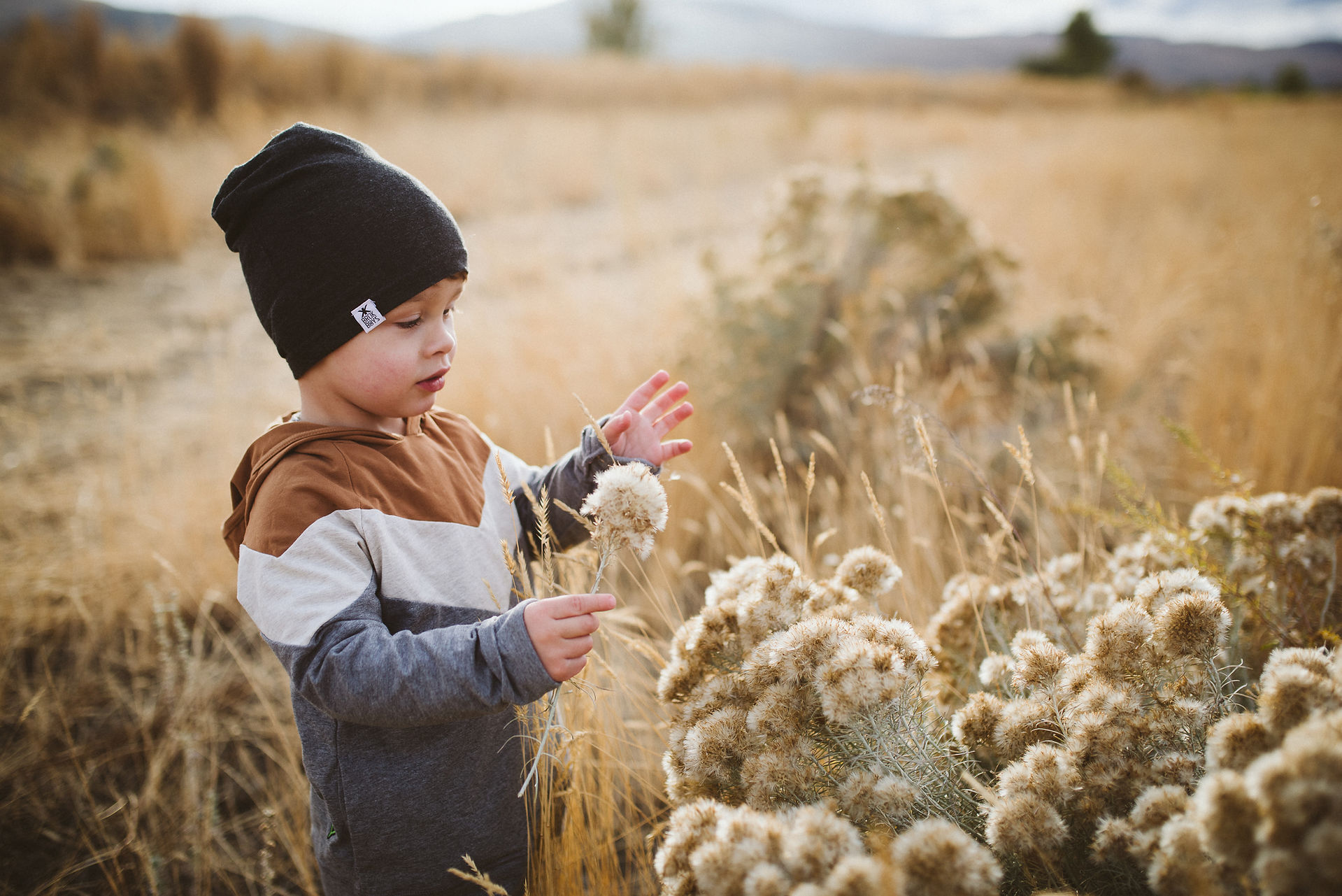 fall photoshoot ideas