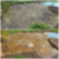 Indian sandstone cleaned by GORILLA Pressure washing