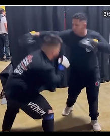 MMA_edited.jpg