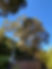 IMG_0493.jpeg