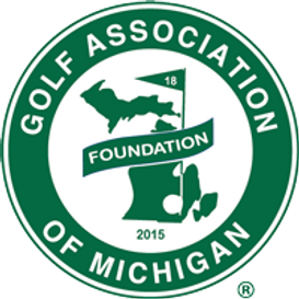 GAM_FOUNDATION_logo_GW200 (002).png