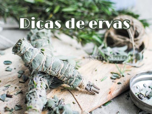 Dicas de ervas