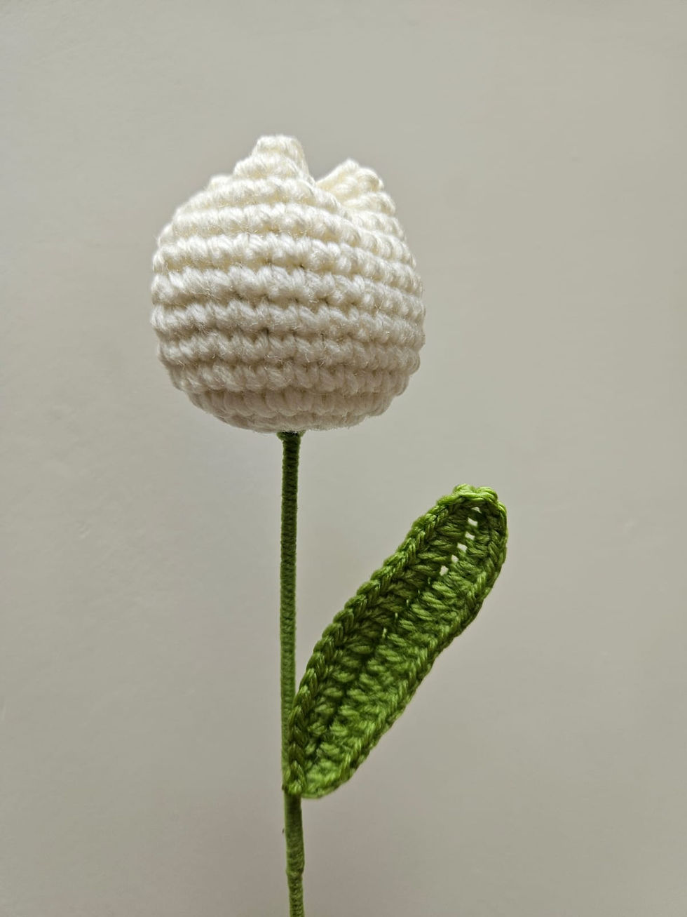 Thumbnail: Tulip