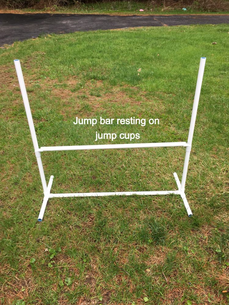 DIY dog agility jumps