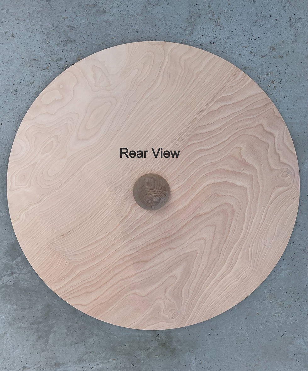 Thumbnail: Dog Agility Wobble Board 24"