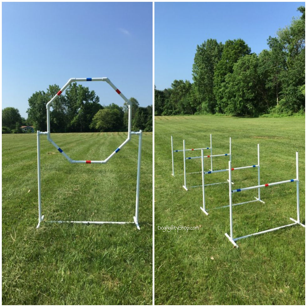The Dog Agility Shop Dog Agility Starter Sets