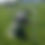 Thumbnail: Weave Poles set of six
