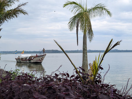 Uganda: Die Perle Afrikas entdecken
