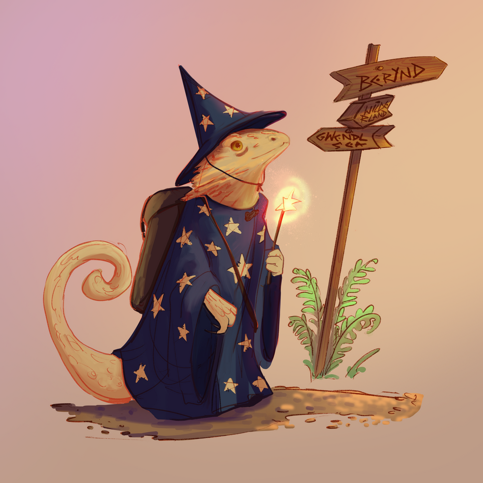 Lizard Wizard