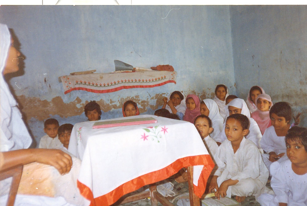 Sultana Welfare School