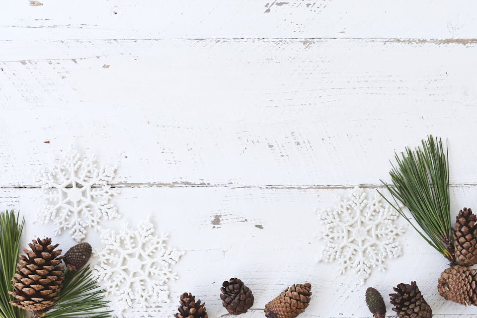 Photo by Candis Hidalgo