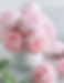 Fleurs pivoines artificielles