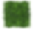 Mur vegetal