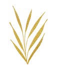 decoratrice